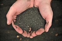 Черный лечебный магнитный песок