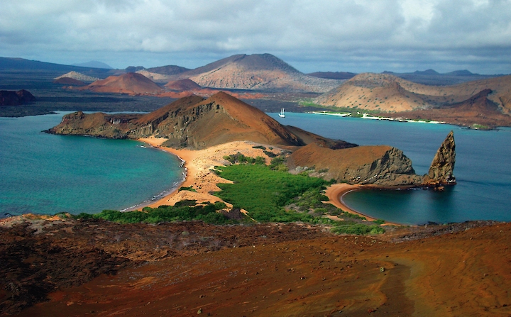 The Galapagos Islands open high season