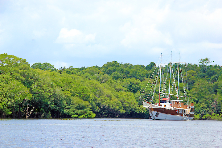 New year cruise on the Amazon on board sailing yacht Desafio